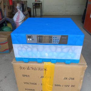 64 eggs incubator