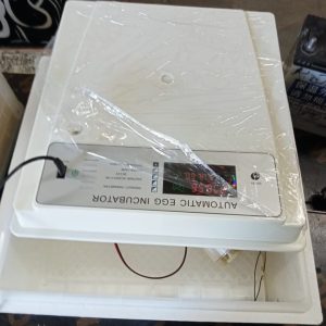 6 eggs incubator