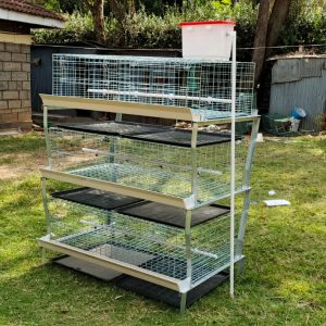 Brooding and broiler cage