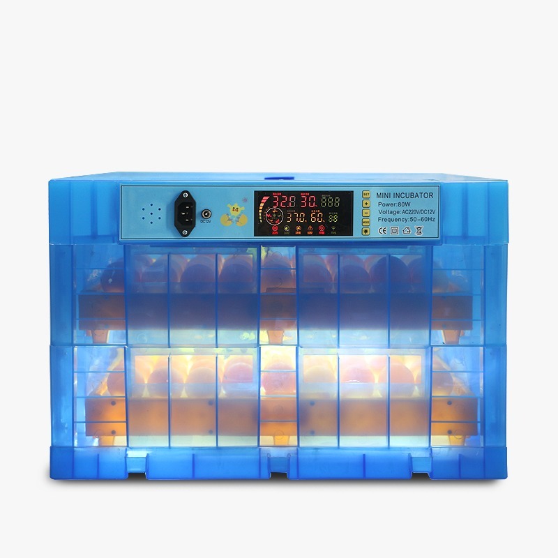 WhatsApp Image 2026-03-19 at 9.59.50 PM